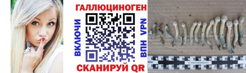Галлюциногенные грибы прущие грибы  Чишмы 